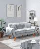 Contemporary 2-Pcs Sofa Set Living Room Furniture Light Gray Velvet Couch Sofa And Loveseat Plush Cushion Unique Lines Plush Sofa.