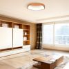 24W Modern LED Mount Ceiling Light with Wood Pattern and Metal Frame